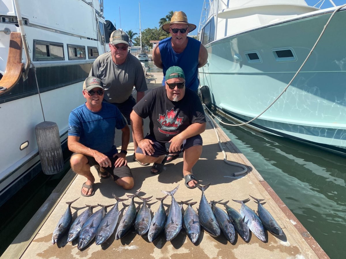 Four anglers crouched on the dock at Marina Nuevo Vallarta behind a row of tuna caught on a private charter
