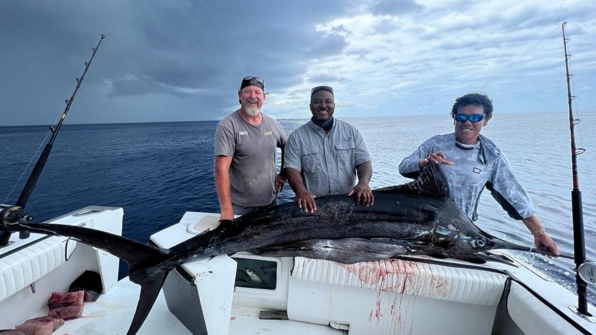 A blue marlin brought aboard on a full-day offshore fishing charter out of Banderas Bay