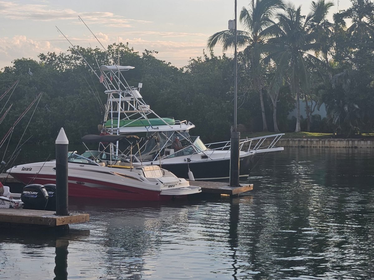 Sportfishing boats and a speedboat moored at the docks of Marina Nuevo Vallarta at sunrise, with palm trees behind