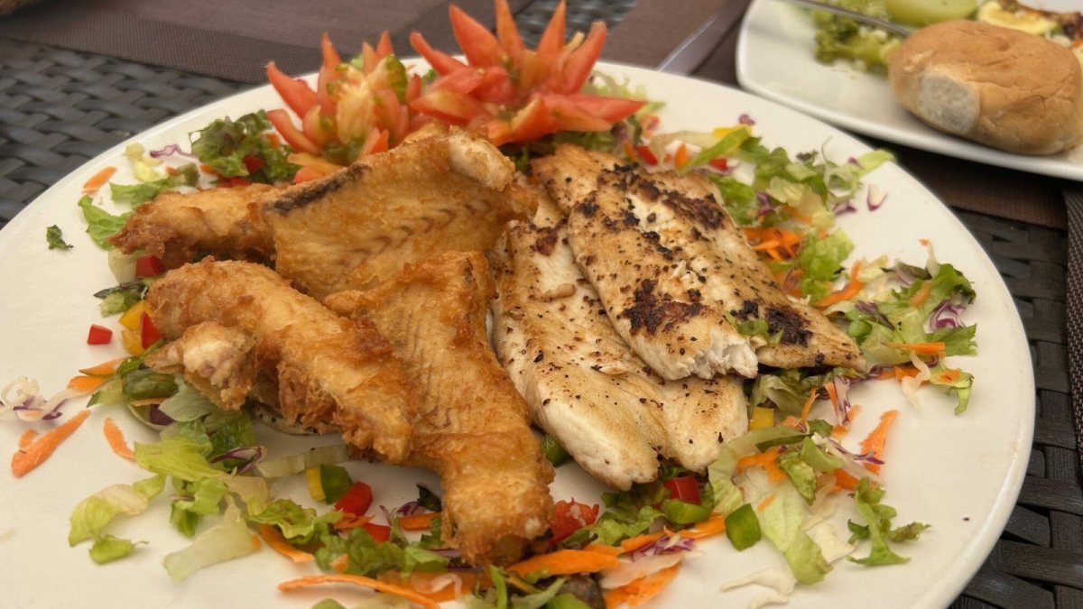 Plate of freshly caught fish fillets cooked two ways, breaded and grilled, served over salad in a Puerto Vallarta restaurant