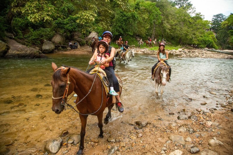 Horses resting on the trail to the waterfall in the Sierra Madre