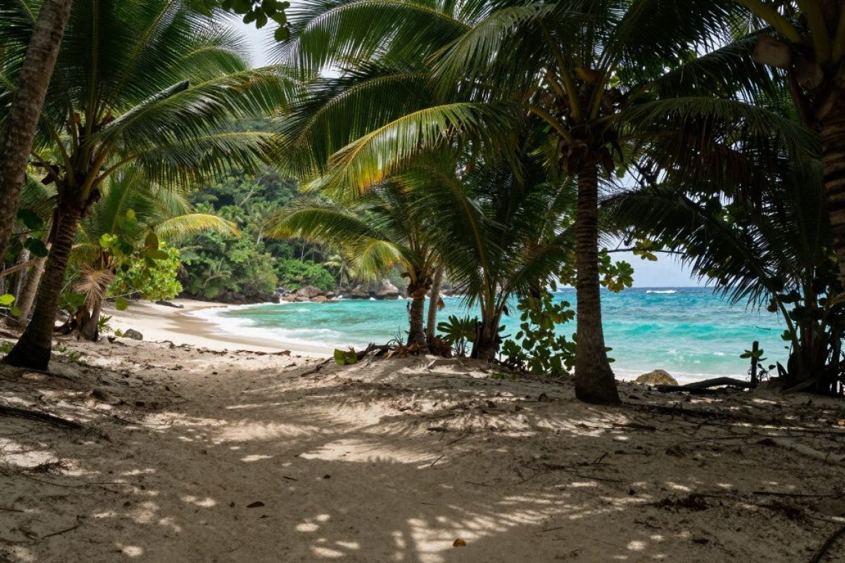 Path through the palms opening onto the beach at Playa La Lancha, Punta de Mita