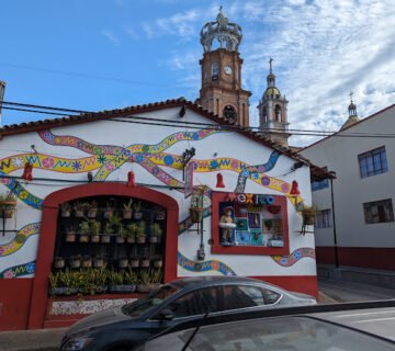 PXL_20240122_165021330