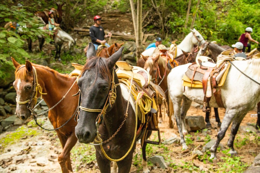 Rancho Capomo Horseback Riding - Image 6
